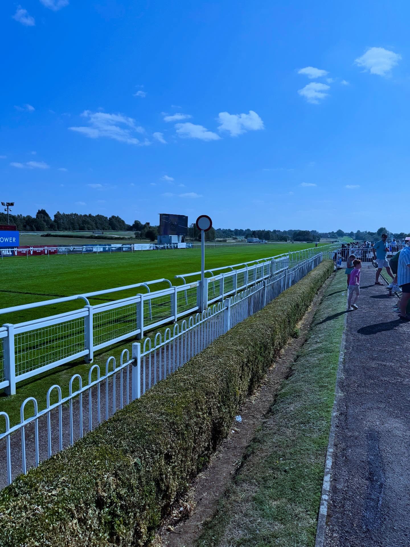 A lovely afternoon with friends at the races